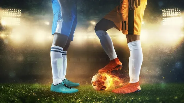 用户在手机上使用华体会体育APP